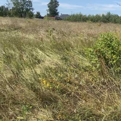 Купить участок - Киев, Газопроводная ул., Виноградарь. Продажа недвижимости - Подольский район, вторичный рынок и новострой недорого, цена до 93000$, объявление №207307 фото 5