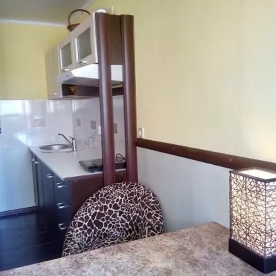 Купить квартиру - Киев, Ломаковская (Мичурина) ул.2, Зверинец. Продажа недвижимости - Печерский район, вторичный рынок и новострой недорого, цена до 64000$, объявление №1757467 фото 9