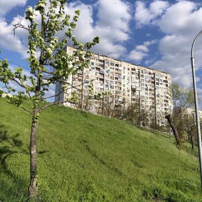 Купить квартиру - Киев, Тычины Павла просп.20А, Березняки. Продажа недвижимости - Днепровский район, вторичный рынок и новострой недорого, цена до 93000$, объявление №1899063 фото 15