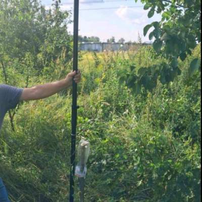 Купить участок - Киевская обл., Славы ул., Рожевка с.. Продажа недвижимости - Броварской, вторичный рынок и новострой недорого, цена до 10000$, объявление №1907270 фото 1