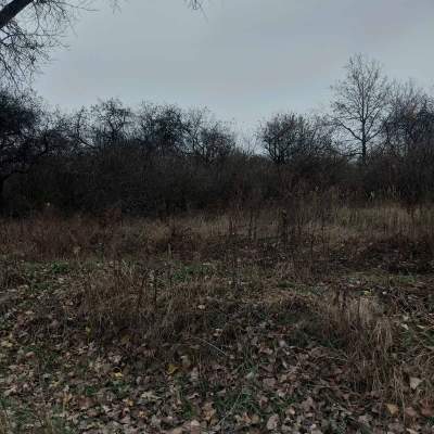 Купить участок - Киевская обл., Славы ул., Рожевка с.. Продажа недвижимости - Броварской, вторичный рынок и новострой недорого, цена до 10000$, объявление №1907270 фото 2