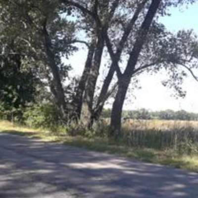 Купить участок - Киевская обл., Славы ул., Рожевка с.. Продажа недвижимости - Броварской, вторичный рынок и новострой недорого, цена до 10000$, объявление №1907270 фото 6