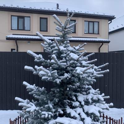 Купить дом - Киевская обл., Полтавская ул.5А, Петропавловская Борщаговка. Продажа недвижимости - Бучанский, вторичный рынок и новострой недорого, цена до 130000$, объявление №1918164 фото 1