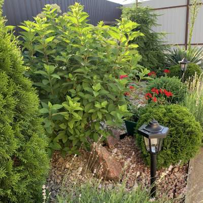 Купить дом - Киевская обл., Полтавская ул.5А, Петропавловская Борщаговка. Продажа недвижимости - Бучанский, вторичный рынок и новострой недорого, цена до 130000$, объявление №1918164 фото 17