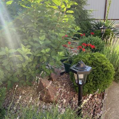 Купить дом - Киевская обл., Полтавская ул.5А, Петропавловская Борщаговка. Продажа недвижимости - Бучанский, вторичный рынок и новострой недорого, цена до 130000$, объявление №1918164 фото 19