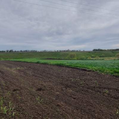 Купить участок - Киевская обл.. Продажа недвижимости - Белоцерковский, вторичный рынок и новострой недорого, цена до 15900$, объявление №1953302 фото 12