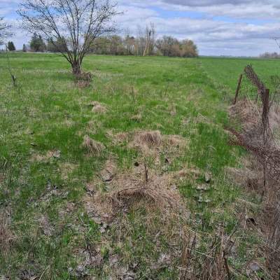 Купить участок - Киевская обл., Пшенична, Марьяновка с.. Продажа недвижимости - Васильковский, вторичный рынок и новострой недорого, цена до 15000$, объявление №1962255 фото 11