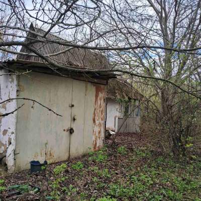 Купить участок - Киевская обл., Пшенична, Марьяновка с.. Продажа недвижимости - Васильковский, вторичный рынок и новострой недорого, цена до 15000$, объявление №1962255 фото 12