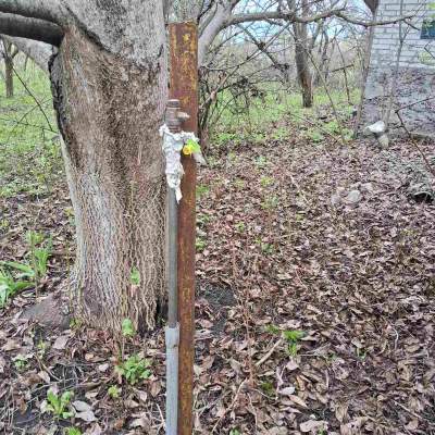 Купить участок - Киевская обл., Пшенична, Марьяновка с.. Продажа недвижимости - Васильковский, вторичный рынок и новострой недорого, цена до 15000$, объявление №1962255 фото 14