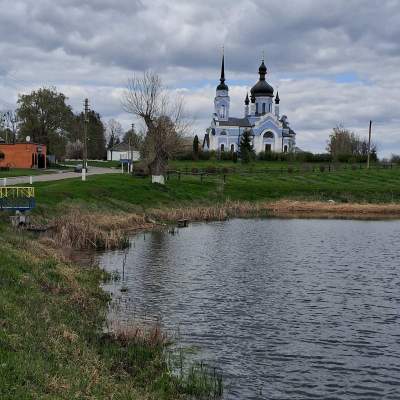 Купить участок - Киевская обл., Пшенична, Марьяновка с.. Продажа недвижимости - Васильковский, вторичный рынок и новострой недорого, цена до 15000$, объявление №1962255 фото 23