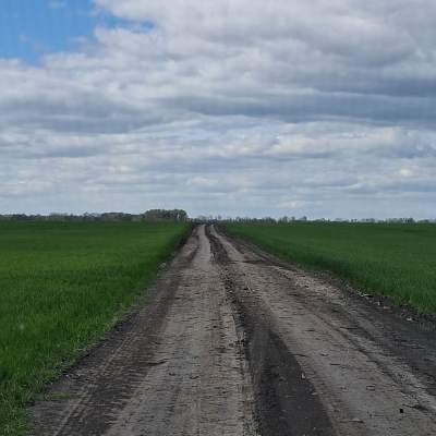 Купить участок - Киевская обл., Пшенична, Марьяновка с.. Продажа недвижимости - Васильковский, вторичный рынок и новострой недорого, цена до 15000$, объявление №1962255 фото 25