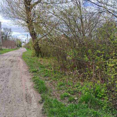 Купить участок - Киевская обл., Пшенична, Марьяновка с.. Продажа недвижимости - Васильковский, вторичный рынок и новострой недорого, цена до 15000$, объявление №1962255 фото 6