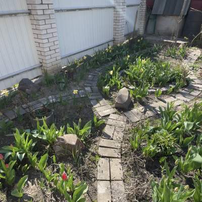 Купить дом - Киевская обл., Озера с.. Продажа недвижимости - Бучанский, вторичный рынок и новострой недорого, цена до 80000$, объявление №1962823 фото 14