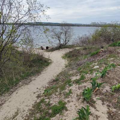 Купить участок - Киев, 1-я Садовая (Осокорки) ул., Осокорки. Продажа недвижимости - Дарницкий район, вторичный рынок и новострой недорого, цена до 62000$, объявление №1963554 фото 7